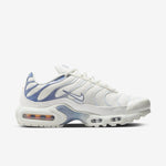 Nike Air Max Plus Ashen Slate