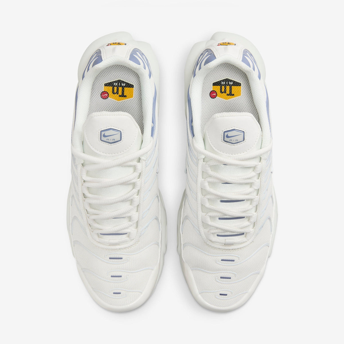Nike Air Max Plus Ashen Slate