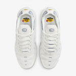 Nike Air Max Plus Ashen Slate