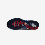 Nike Air Max Plus Euro Tour