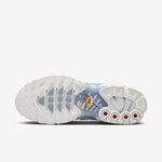 Nike Air Max Plus Ashen Slate