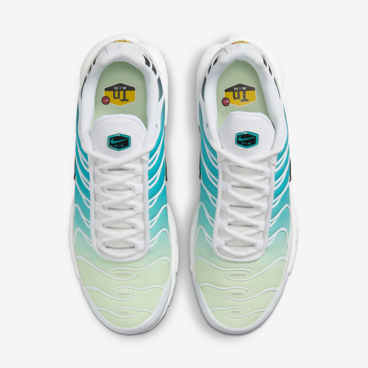 Nike Air Max Plus Dusty Cactus